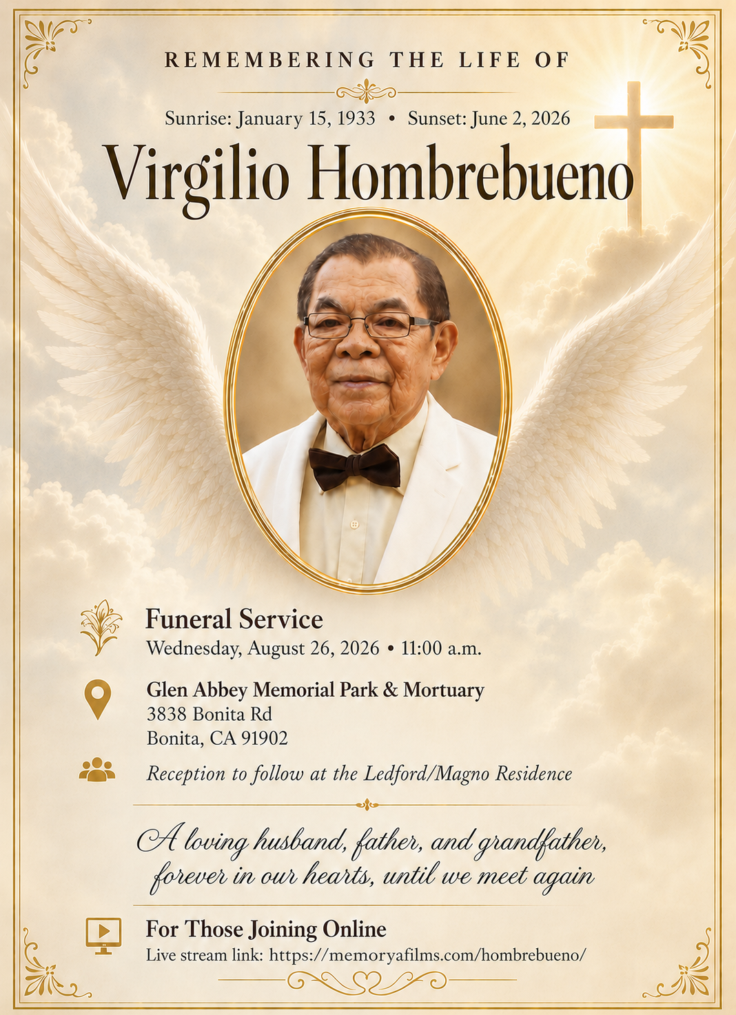 Virgilio Wings